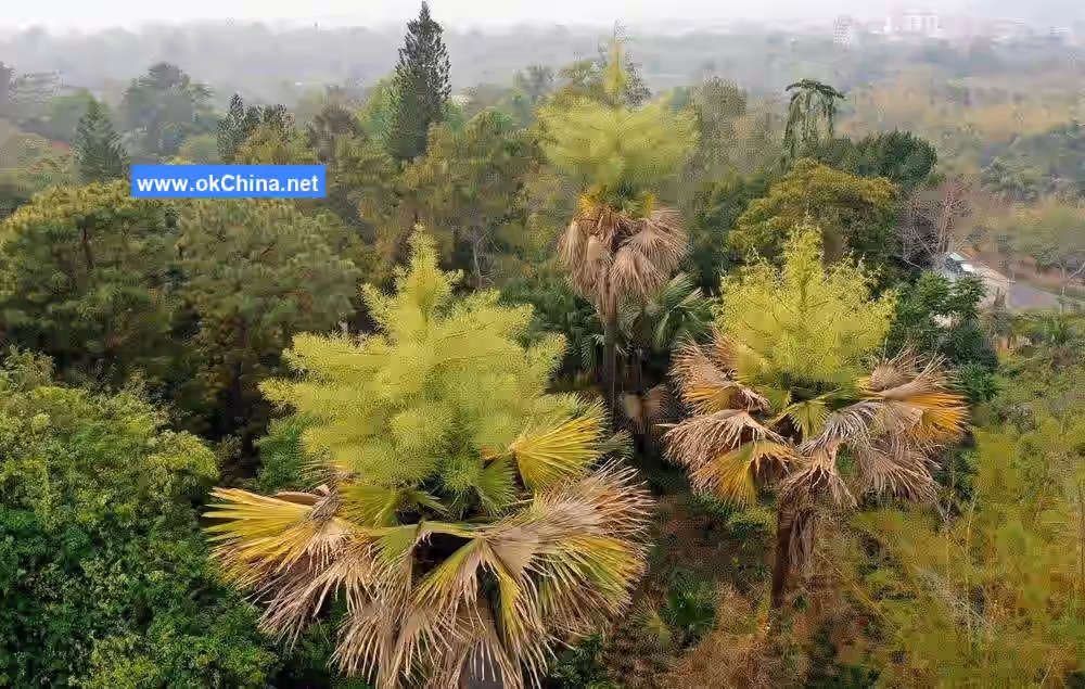 Xishuangbanna Tropical Botanical Garden