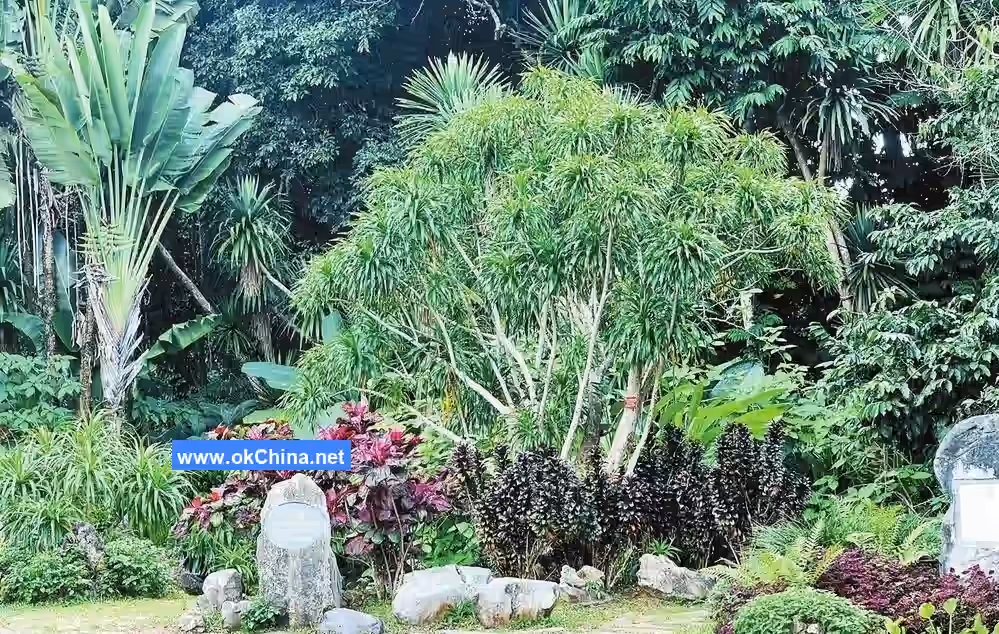 Xishuangbanna Tropical Botanical Garden