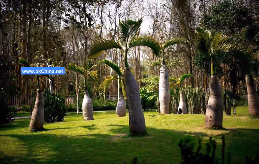 Xishuangbanna Tropical Botanical Garden