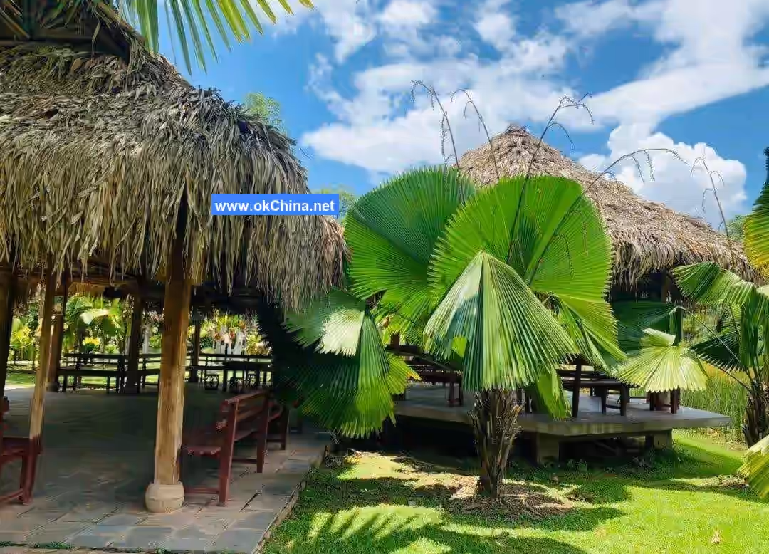 Xishuangbanna Tropical Botanical Garden