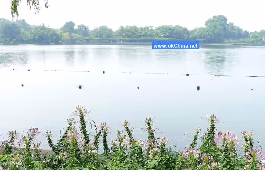 Hangzhou West Lake Scenic Area