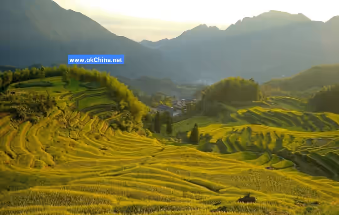 Yunhe Terraced Fields Scenic Area