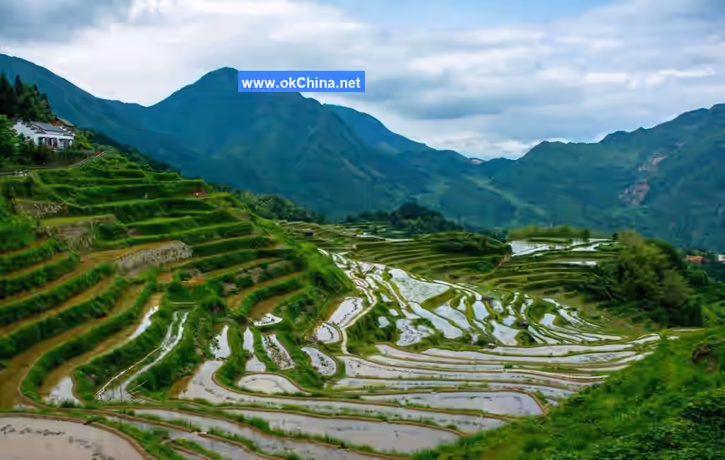 Yunhe Terraced Fields Scenic Area