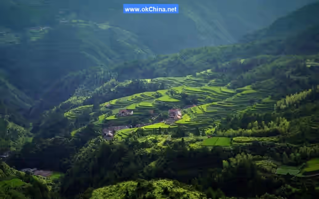 Yunhe Terraced Fields Scenic Area