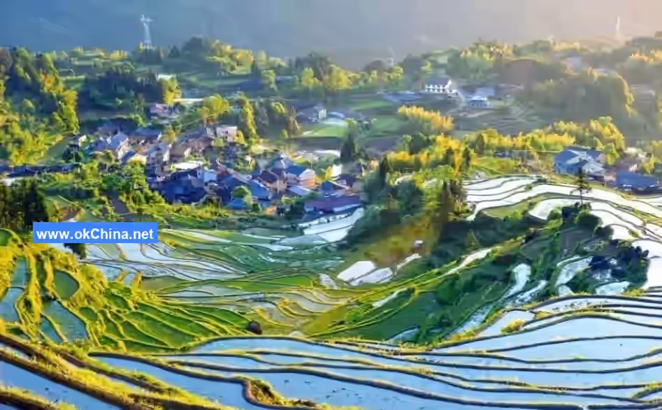 Yunhe Terraced Fields Scenic Area